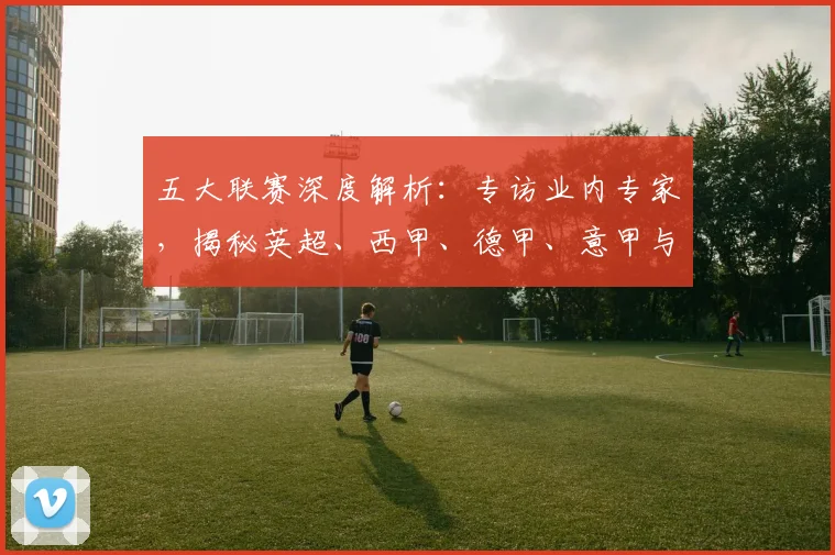 五大联赛深度解析:专访业内专家,揭秘英超、西甲、德甲、意甲与法甲的本质区别
