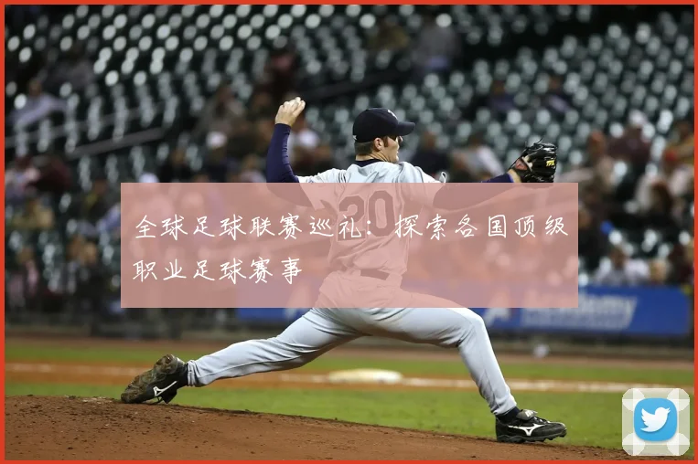 全球足球联赛巡礼:探索各国顶级职业足球赛事